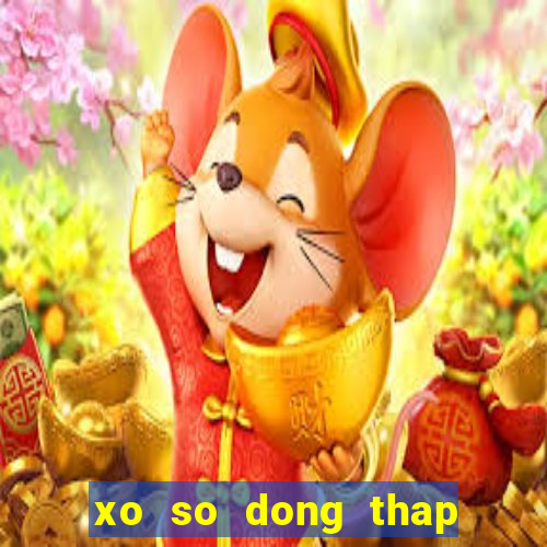 xo so dong thap 13 11