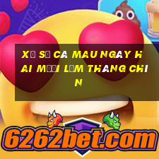 xổ số cà mau ngày hai mươi lăm tháng chín