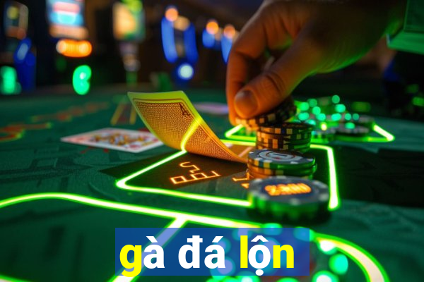 gà đá lộn