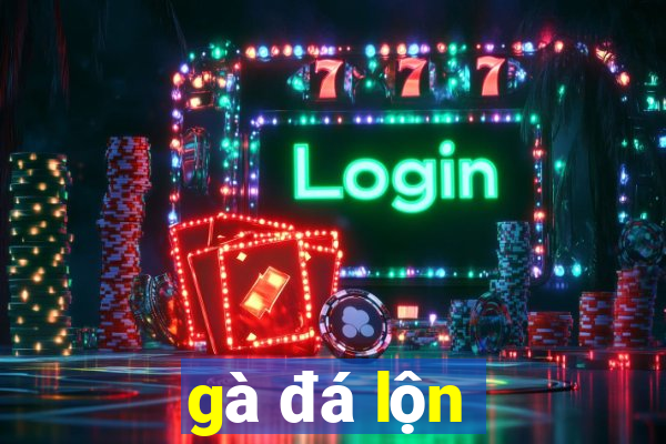 gà đá lộn