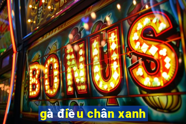 gà điều chân xanh