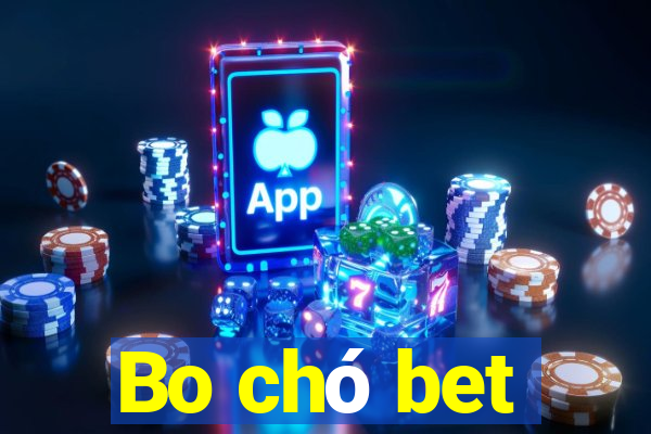 Bo chó bet