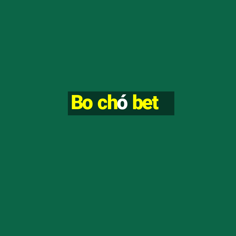 Bo chó bet