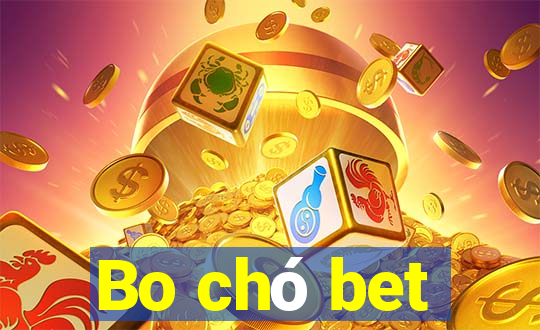 Bo chó bet