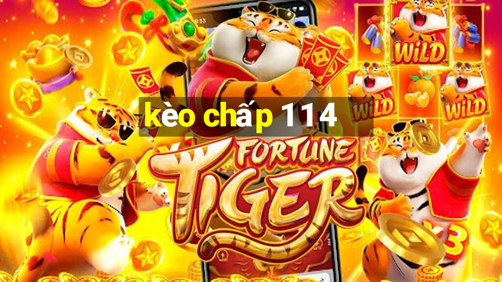 kèo chấp 1 1 4