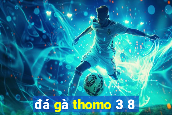 đá gà thomo 3 8