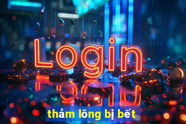 thảm lông bị bết