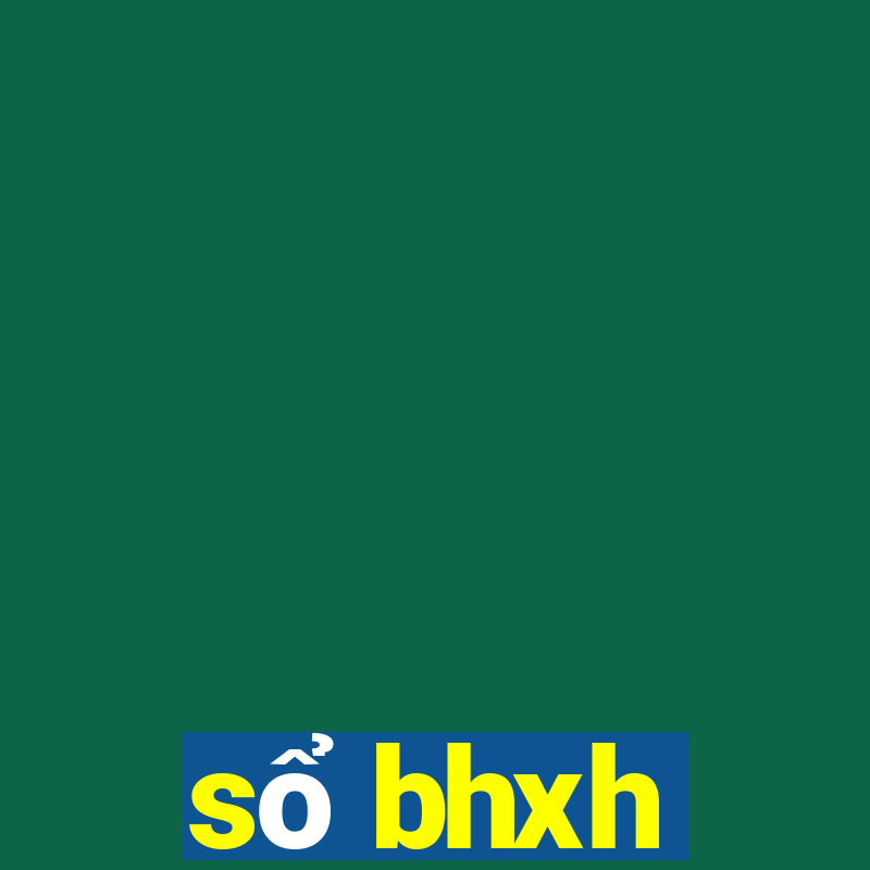 sổ bhxh