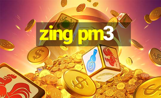 zing pm3