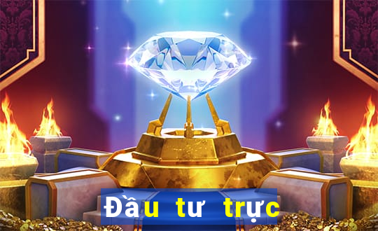 Đầu tư trực tuyến bắt buộc