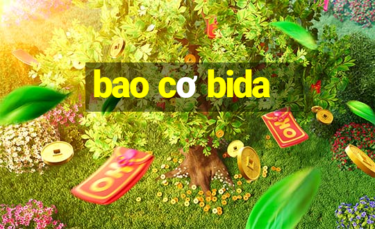 bao cơ bida