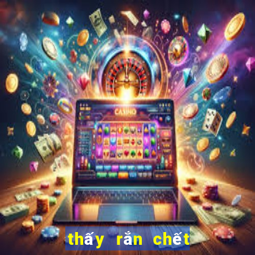 thấy rắn chết đánh con gì