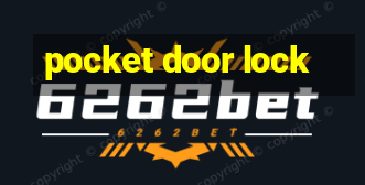 pocket door lock