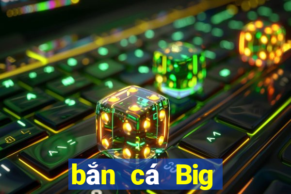 bắn cá Big Player Tải về