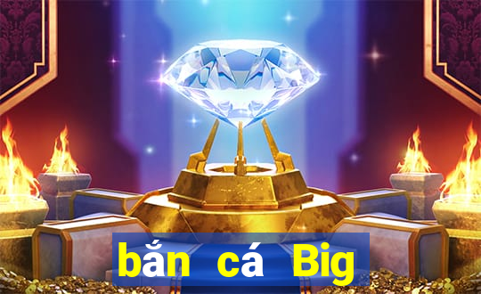 bắn cá Big Player Tải về