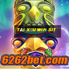 tài xỉu win bit