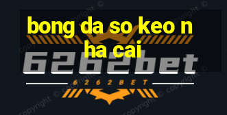 bong da so keo nha cai