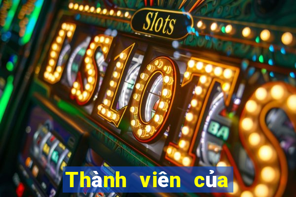 Thành viên của Bo 500