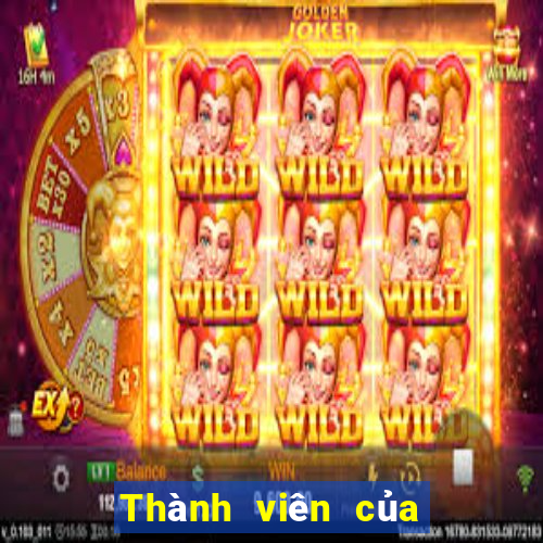 Thành viên của Bo 500