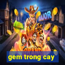 gem trong cay