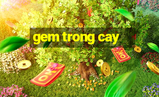 gem trong cay