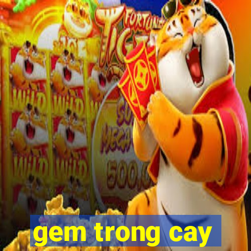 gem trong cay