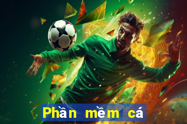 Phần mềm cá cược bóng đá