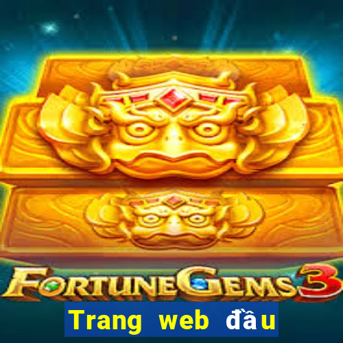 Trang web đầu tư Việt nam