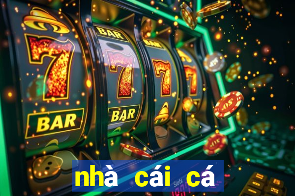 nhà cái cá cược uy tín