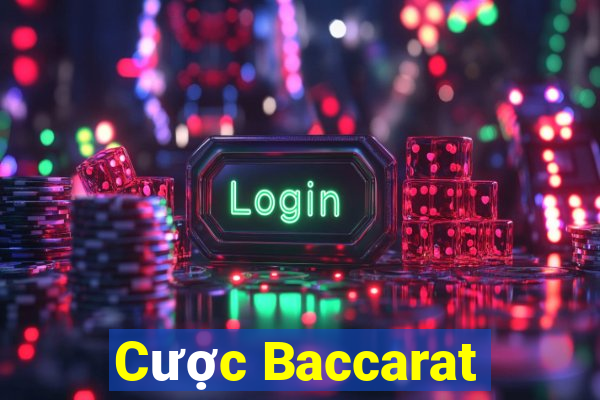 Cược Baccarat