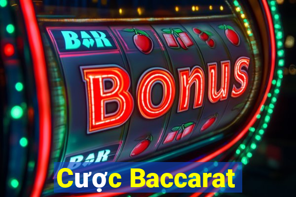 Cược Baccarat