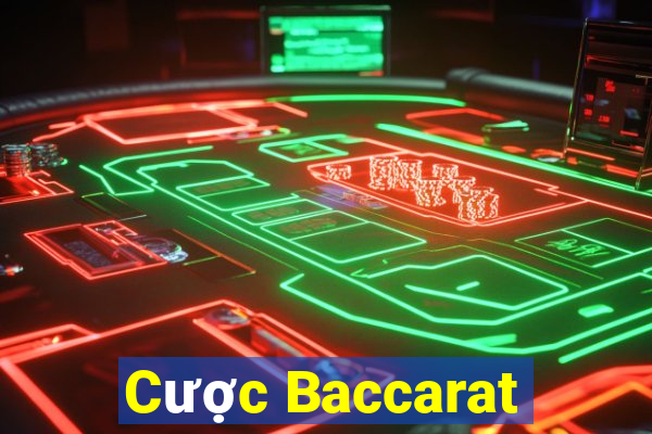 Cược Baccarat