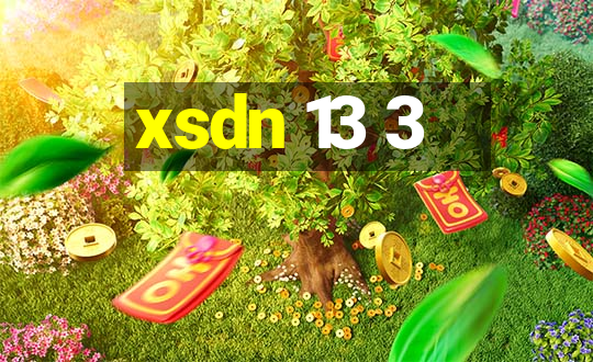 xsdn 13 3