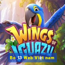 Bo 13 Web Việt nam