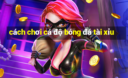 cách chơi cá độ bóng đá tài xỉu