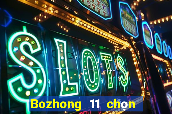 Bozhong 11 chọn năm phần mềm