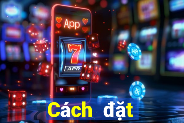 Cách đặt cược XSMT ngày 12