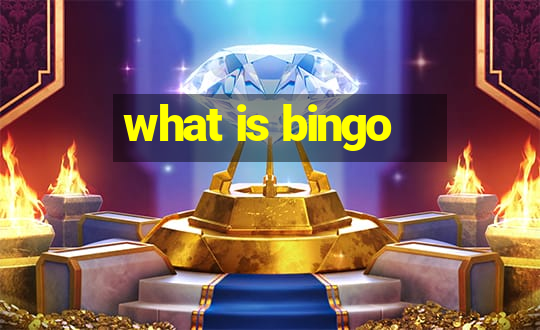 what is bingo