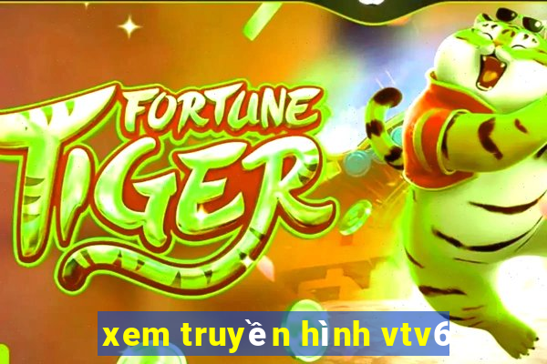 xem truyền hình vtv6