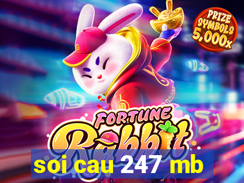 soi cau 247 mb