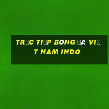 trực tiếp bóng đá việt nam indo