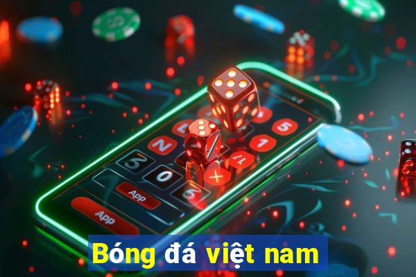 Bóng đá việt nam