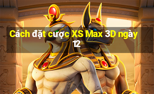 Cách đặt cược XS Max 3D ngày 12