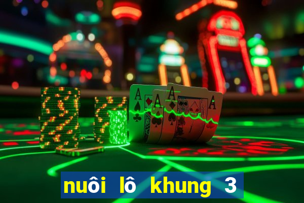 nuôi lô khung 3 ngày chuẩn