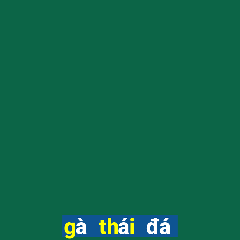 gà thái đá cựa sắt