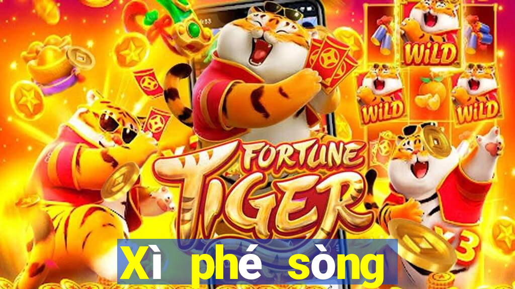 Xì phé sòng bạc Việt nam