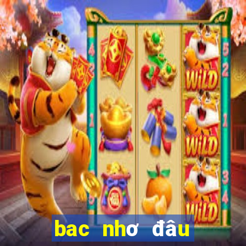 bac nhơ đâu đuôi câm