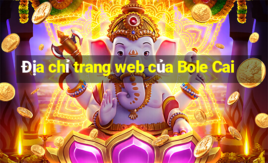 Địa chỉ trang web của Bole Cai