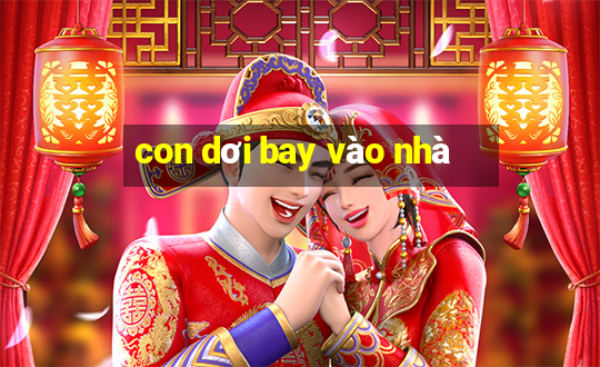 con dơi bay vào nhà