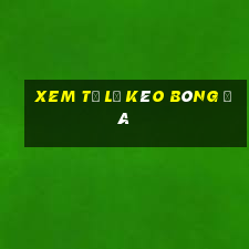 xem tỷ lệ kèo bóng đá